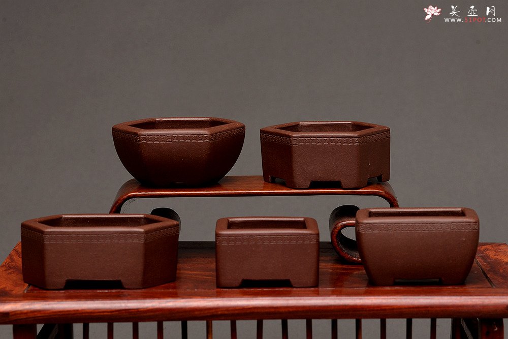 紫砂壶图片：张秋平全手微型花盆 美壶网回馈之作 气度更加漂亮 - 全手工紫砂壶网