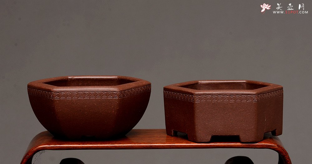 紫砂壶图片：张秋平全手微型花盆 美壶网回馈之作 气度更加漂亮 - 全手工紫砂壶网