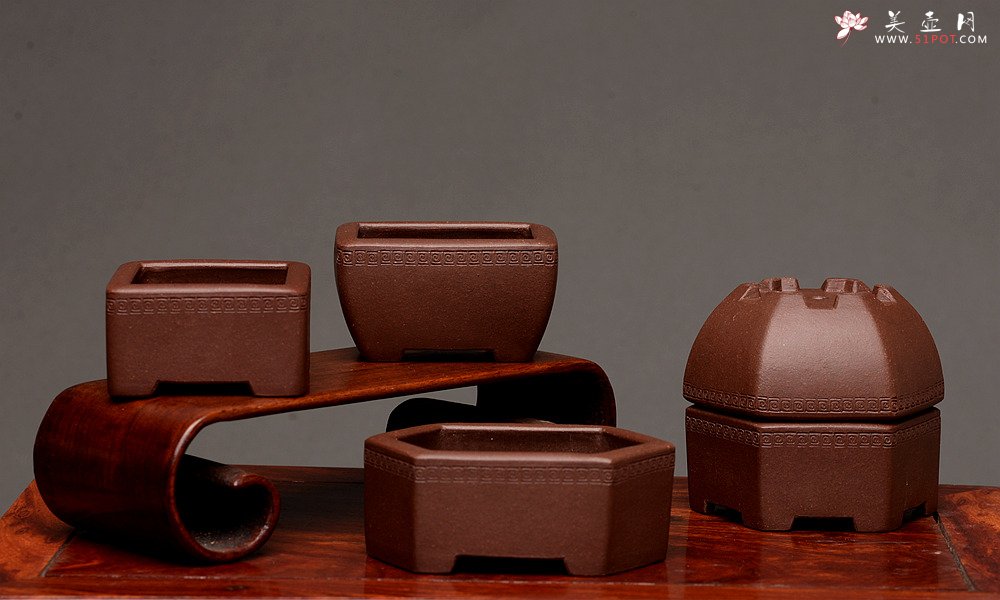 紫砂壶图片：张秋平全手微型花盆 美壶网回馈之作 气度更加漂亮 - 全手工紫砂壶网