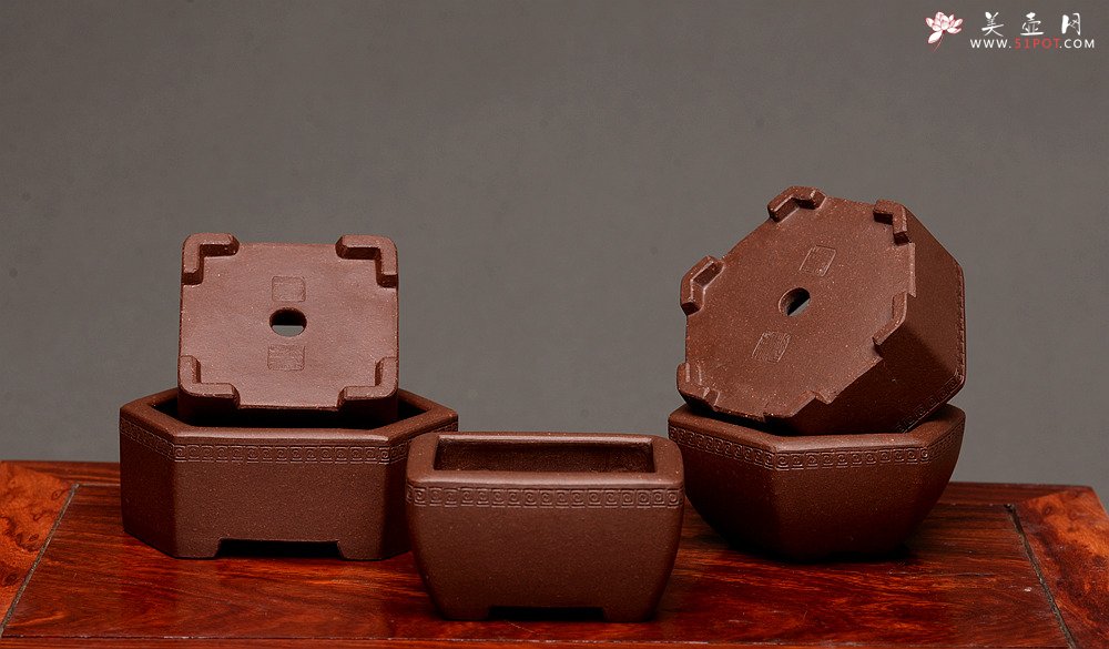 紫砂壶图片：张秋平全手微型花盆 美壶网回馈之作 气度更加漂亮 - 全手工紫砂壶网