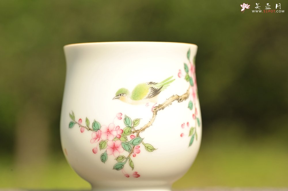 紫砂壶图片：新彩玉光白釉花鸟1 景德镇主人杯 - 全手工紫砂壶网