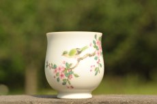 紫砂壶图片：新彩玉光白釉花鸟1 景德镇主人杯 - 全手工紫砂壶网