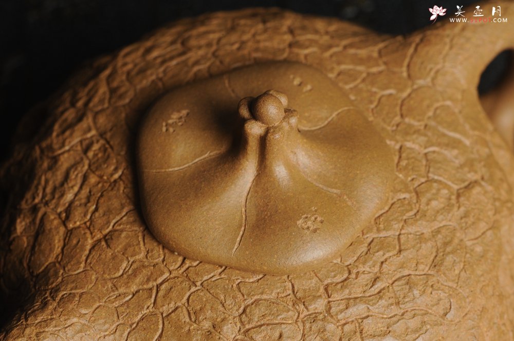 紫砂壶图片：美壶特惠 进步明显优质黄金段全手工供春壶 异型盖 难度大 肌理丰富 - 全手工紫砂壶网