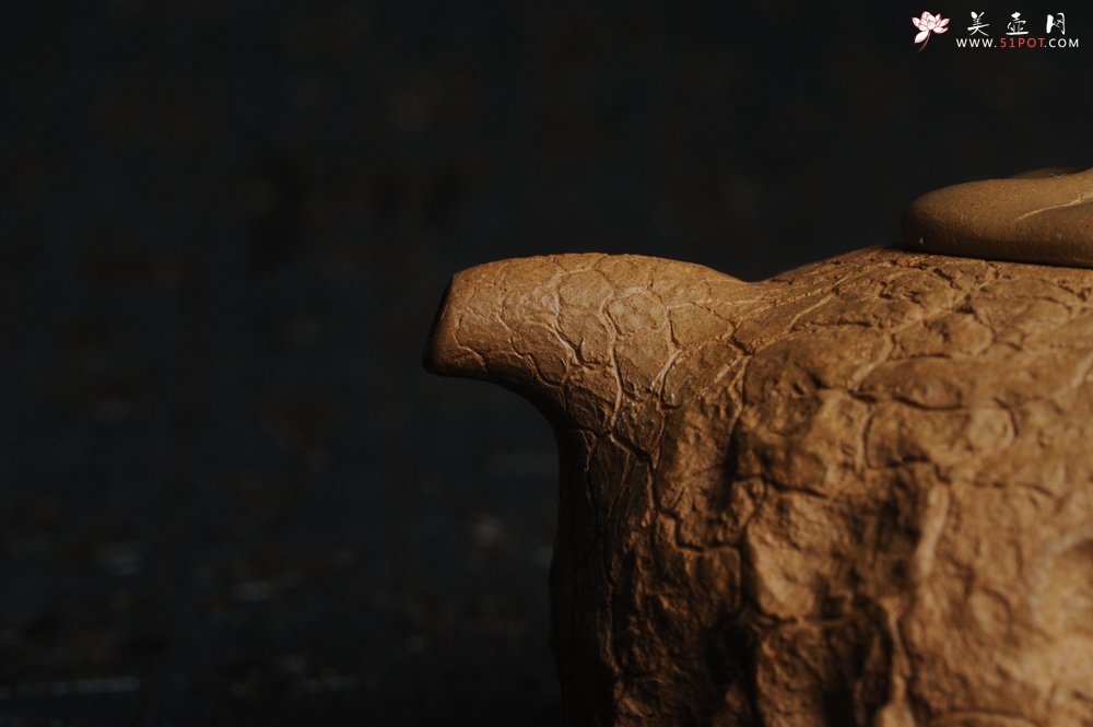 紫砂壶图片：美壶特惠 进步明显优质黄金段全手工供春壶 异型盖 难度大 肌理丰富 - 全手工紫砂壶网