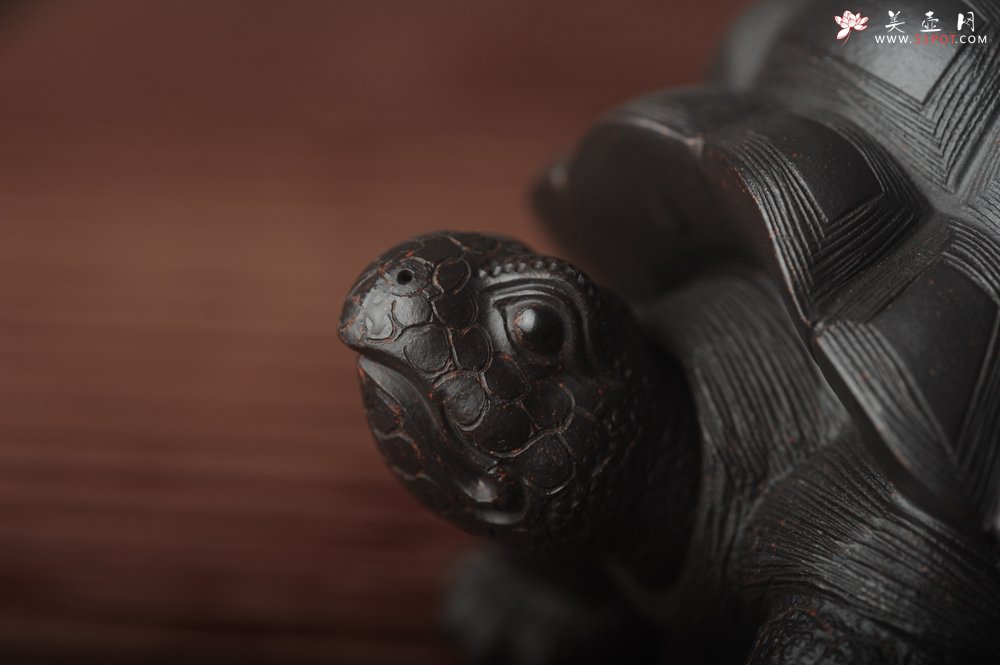 紫砂壶图片：美宠中秋特惠 精致黑料忍者寿龟 长14cm宽9.5cm高7cm - 全手工紫砂壶网