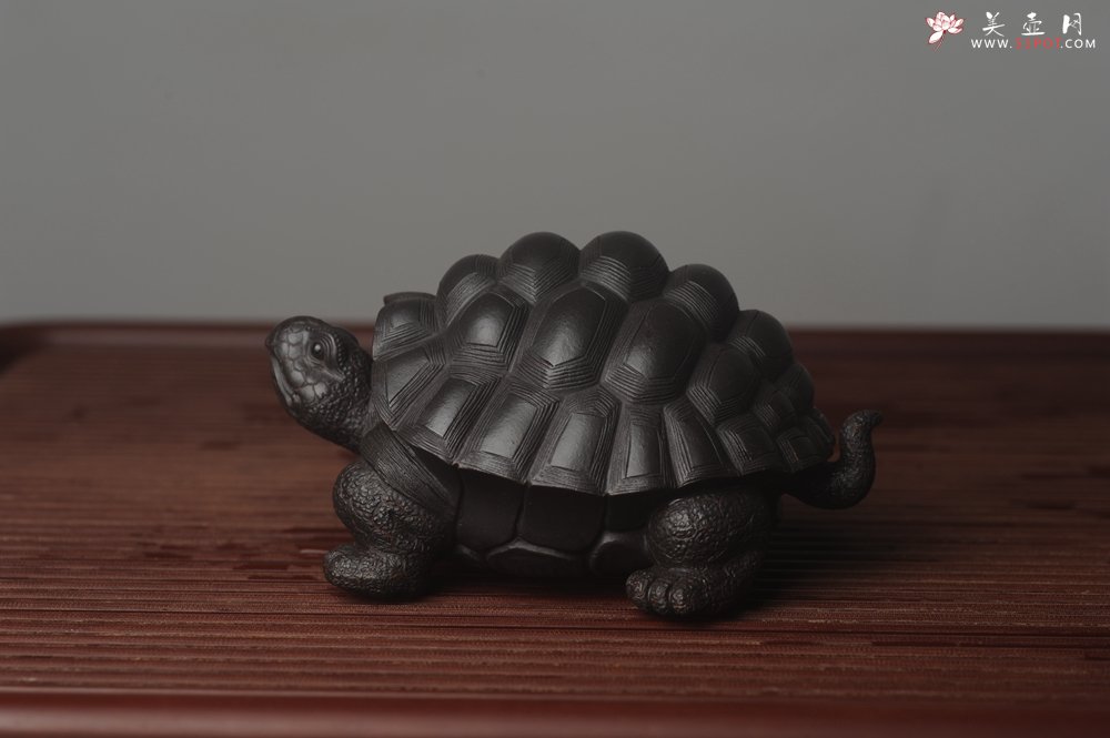 紫砂壶图片：美宠中秋特惠 精致黑料忍者寿龟 长14cm宽9.5cm高7cm - 全手工紫砂壶网