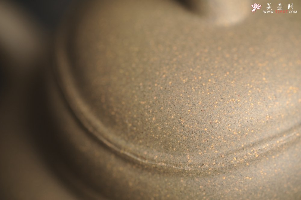 紫砂壶图片：美壶特惠 精致青段薄胎 质量仅101g 大肚竹壶 - 全手工紫砂壶网