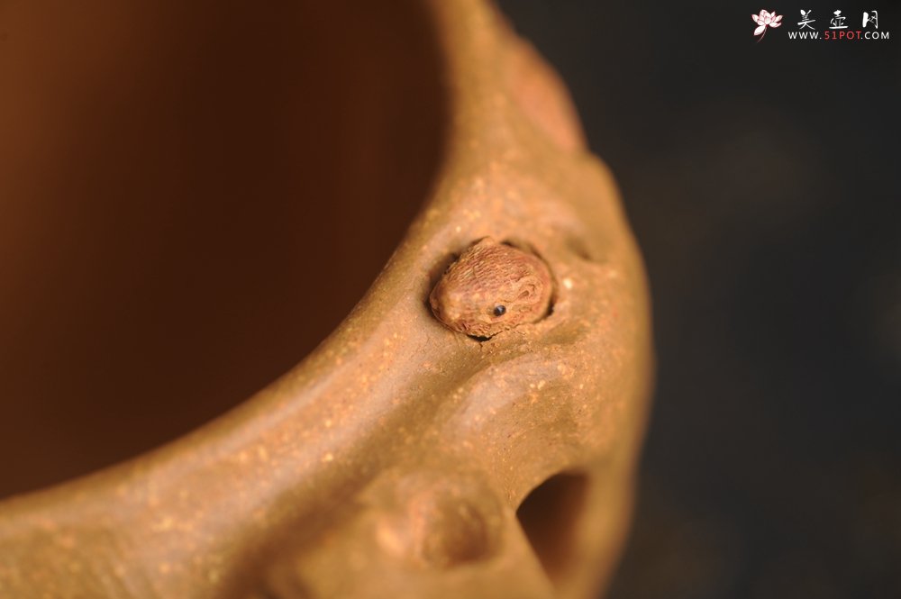 紫砂壶图片：美杯精品特惠 实力演绎全手工老黄段泥松鼠杯 松鼠灵动 贴叶生动 不失为一把好杯 - 全手工紫砂壶网