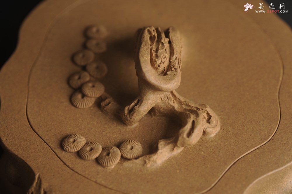 紫砂壶图片：潜力股唐老师 全手工精致老段松桩壶 肌理丰富生动 期待与您结缘 - 全手工紫砂壶网