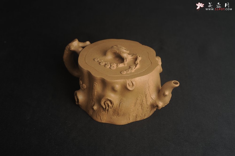 紫砂壶图片：潜力股唐老师 全手工精致老段松桩壶 肌理丰富生动 期待与您结缘 - 全手工紫砂壶网