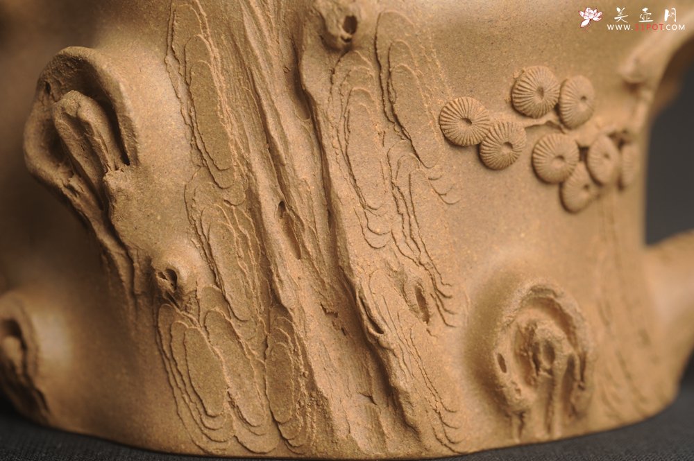 紫砂壶图片：潜力股唐老师 全手工精致老段松桩壶 肌理丰富生动 期待与您结缘 - 全手工紫砂壶网