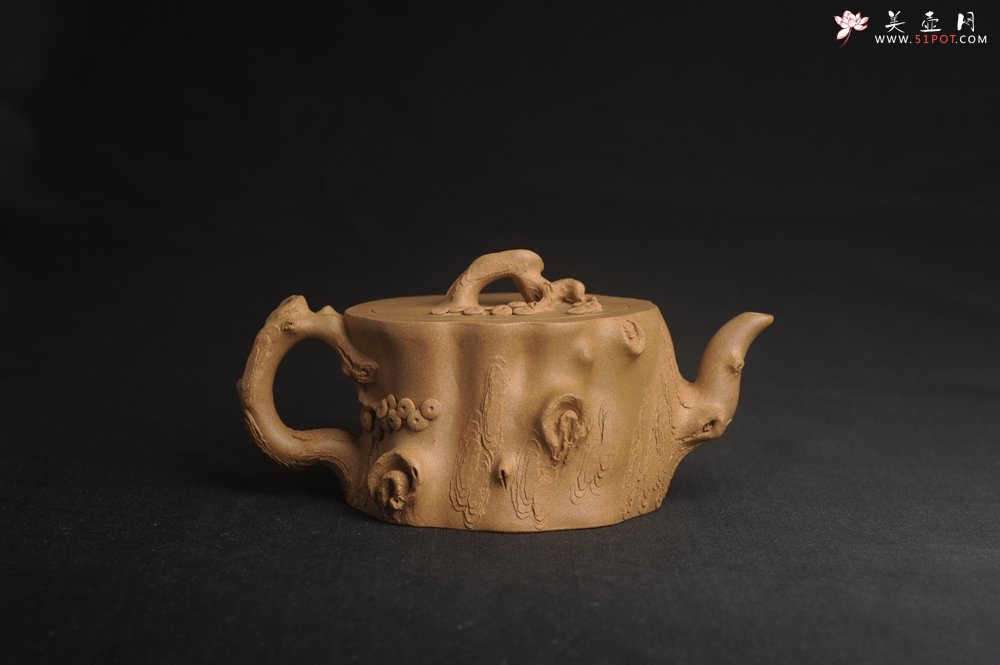 紫砂壶图片：潜力股唐老师 全手工精致老段松桩壶 肌理丰富生动 期待与您结缘 - 全手工紫砂壶网