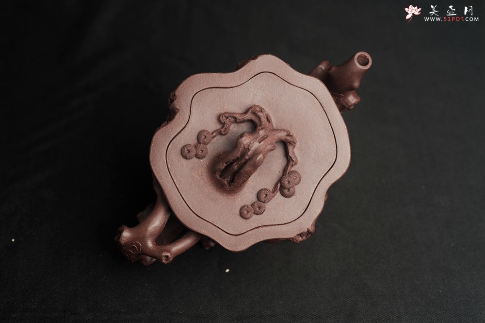 紫砂壶图片：潜力股唐老师 全手工精致老紫泥松桩壶 肌理丰富生动 期待与您结缘 - 全手工紫砂壶网