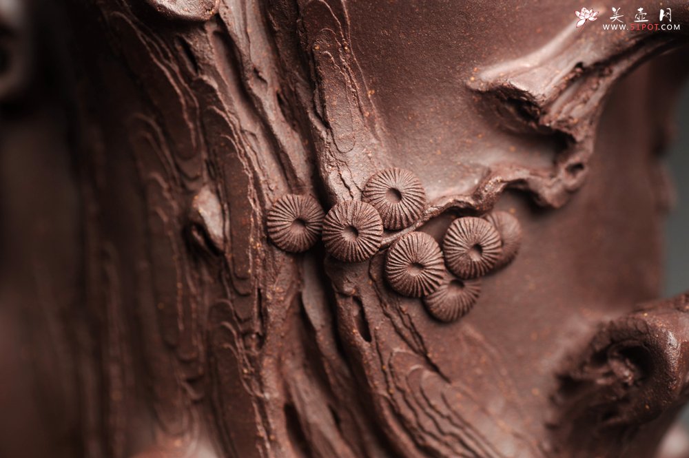 紫砂壶图片：潜力股唐老师 全手工精致老紫泥松桩壶 肌理丰富生动 期待与您结缘 - 全手工紫砂壶网