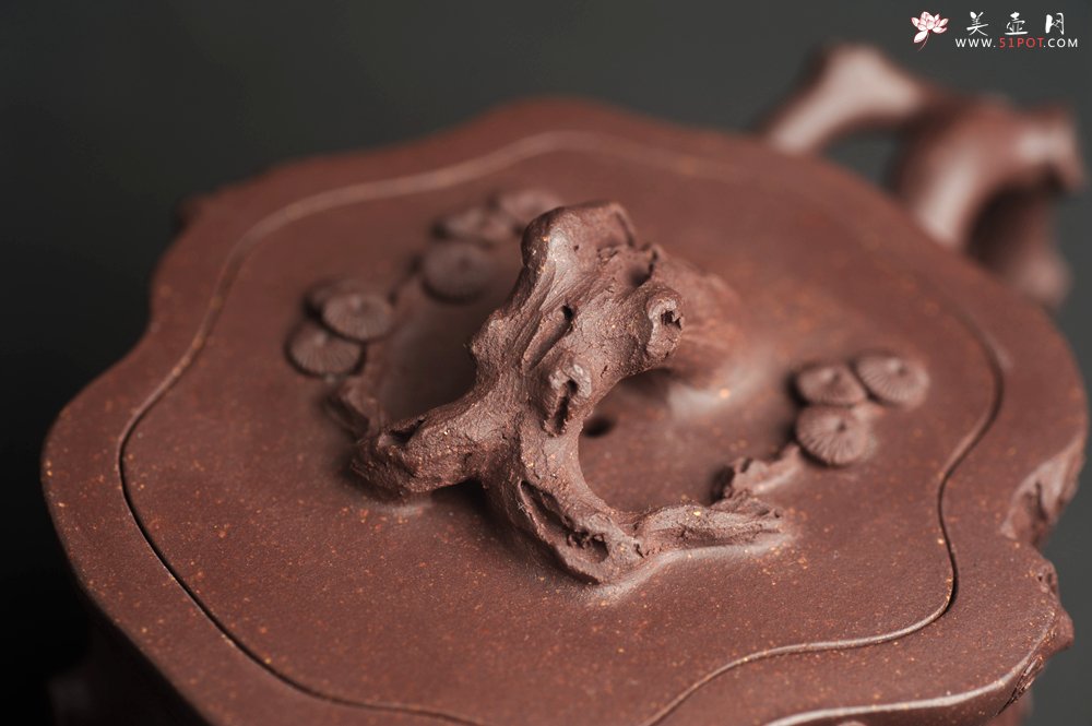 紫砂壶图片：潜力股唐老师 全手工精致老紫泥松桩壶 肌理丰富生动 期待与您结缘 - 全手工紫砂壶网