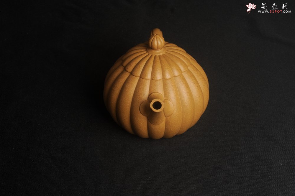 紫砂壶图片：实力派张海艳精工实力之作全手工菊瓣西施壶 壶特好 - 全手工紫砂壶网