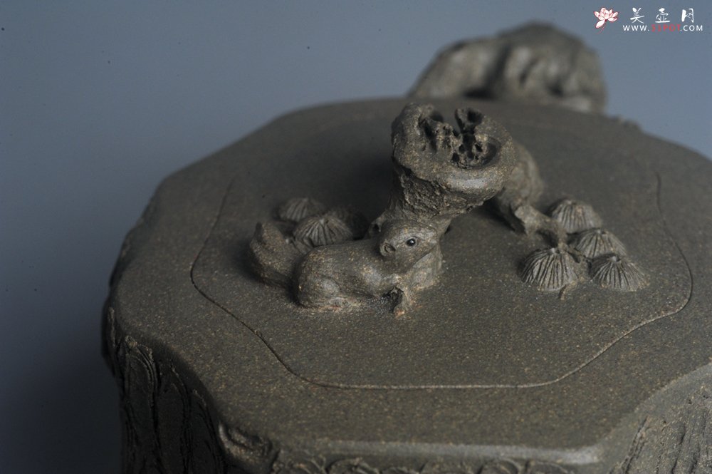 紫砂壶图片：潜力股赵老师 全手工青段松桩壶 松鼠跃然壶盖特有趣 肌理丰富 期待与您结缘 - 全手工紫砂壶网