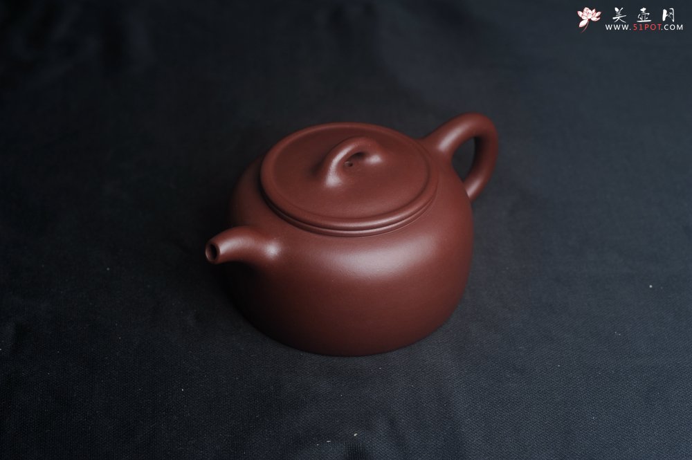 紫砂壶图片：潜力股周小培老师 4号井深井红皮龙 全手工过桥井栏壶 - 全手工紫砂壶网