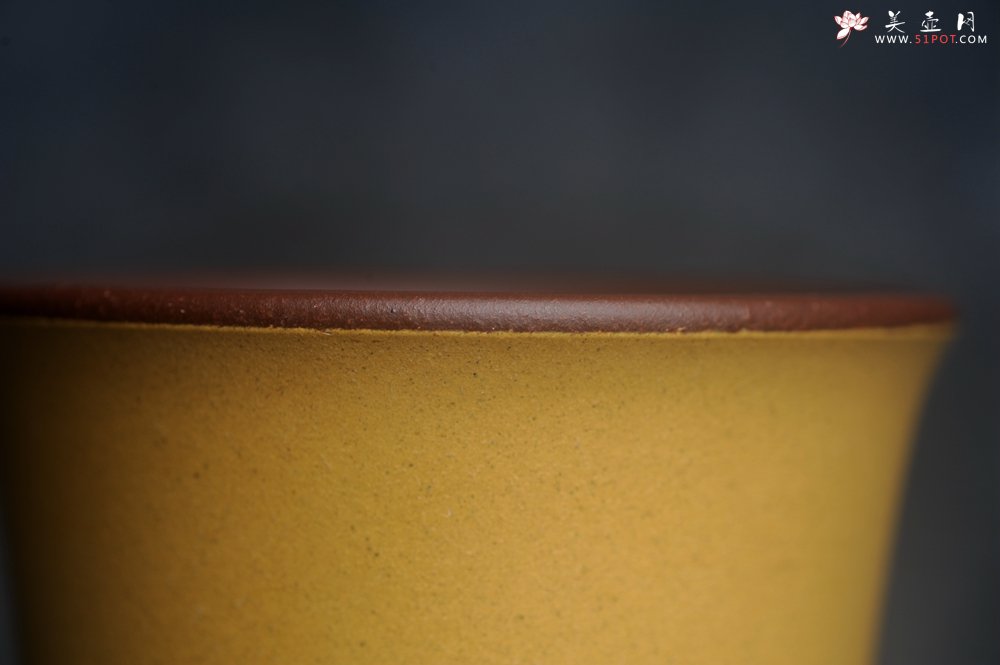 紫砂壶图片：美美杯特惠 精致花鸟紫砂杯 紫泥粉黄金段泥主人杯 茶杯 特文气 - 全手工紫砂壶网