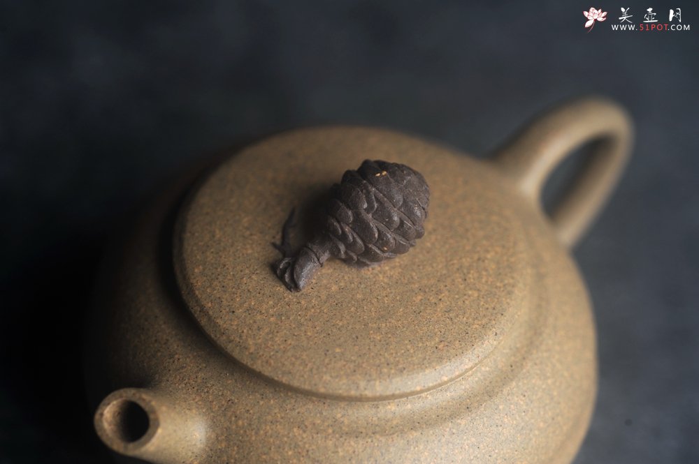 紫砂壶图片：美壶特惠 特好段泥精致松果壶 茶人醉爱 - 全手工紫砂壶网