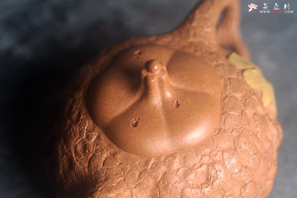 紫砂壶图片：美壶特惠 特好老段泥全手工银杏供春壶 茶人醉爱 - 全手工紫砂壶网