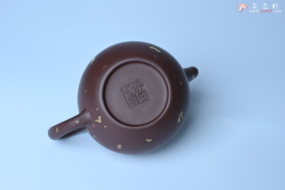 紫砂壶图片：潜力股周小培 全手工原创招财壶200cc 金蟾屹立于壶盖 撒金工艺铺满壶身 寓意黄金落满地 招财进宝 - 全手工紫砂壶网