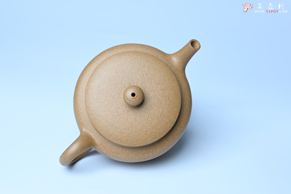 紫砂壶图片：美壶特惠全手工紫砂壶特好段泥桑扁壶 茶壶 茶具 单壶 - 全手工紫砂壶网