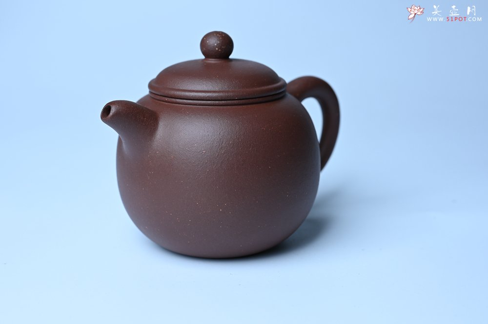 紫砂壶图片：毛国强入室弟子黄云初 特好老紫泥匏尊壶 名家何水法书法“坐忘” 刘世涛伯陶刻 - 全手工紫砂壶网