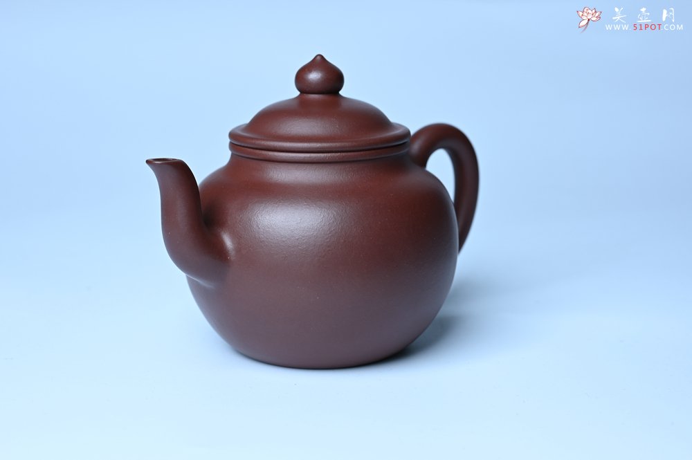 紫砂壶图片：油润黄龙山4号深井红皮龙 全手工高宫灯壶 东西灰常赞 - 全手工紫砂壶网