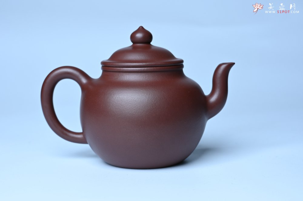 紫砂壶图片：油润黄龙山4号深井红皮龙 全手工高宫灯壶 东西灰常赞 - 全手工紫砂壶网