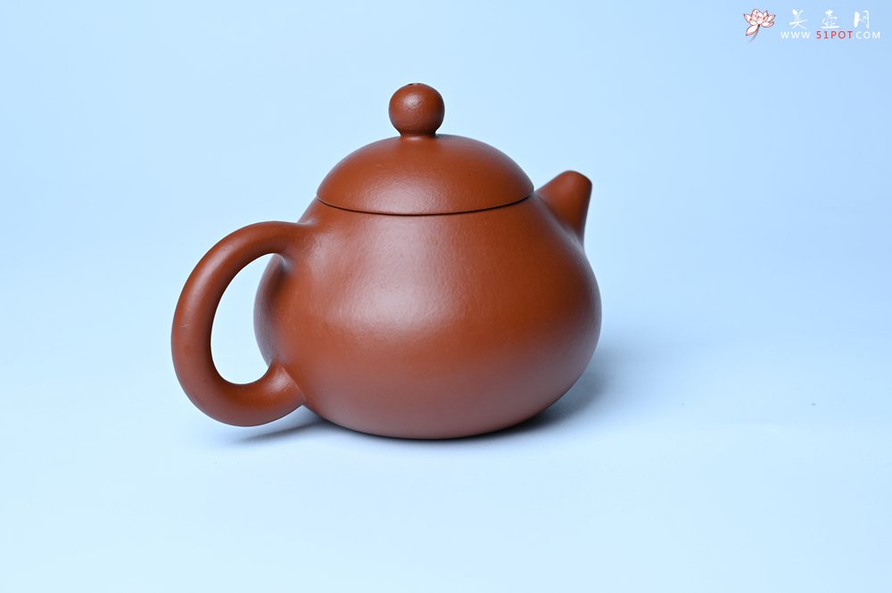 紫砂壶图片：美壶特惠定制最新实用力作 优质精致朱泥文旦壶 养后特润 - 全手工紫砂壶网