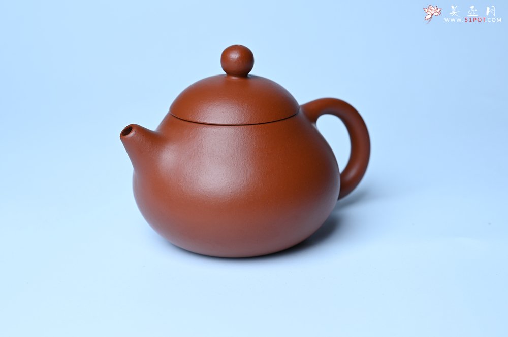 紫砂壶图片：美壶特惠定制最新实用力作 优质精致朱泥文旦壶 养后特润 - 全手工紫砂壶网