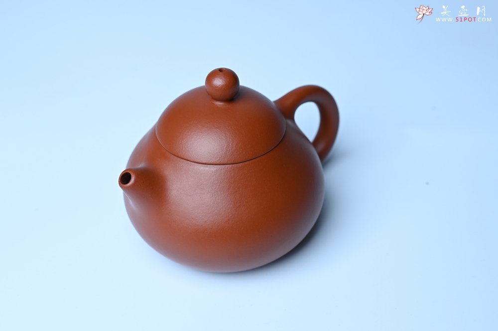 紫砂壶图片：美壶特惠定制最新实用力作 优质精致朱泥文旦壶 养后特润 - 全手工紫砂壶网