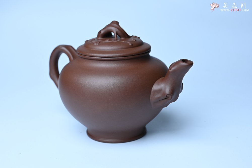 紫砂壶图片：美壶特惠 精致报春系列之梅花报春壶 - 全手工紫砂壶网