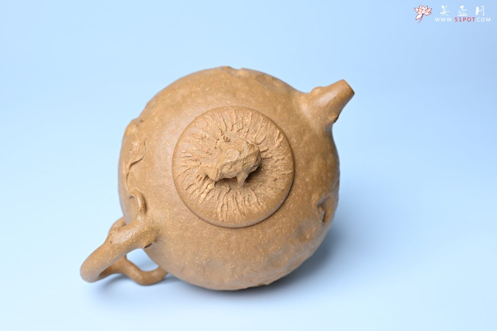 紫砂壶图片：潜力股赵老师实力演绎全手工老黄段泥金蟾供春壶 金蟾灵动 不失为一把好壶 - 全手工紫砂壶网