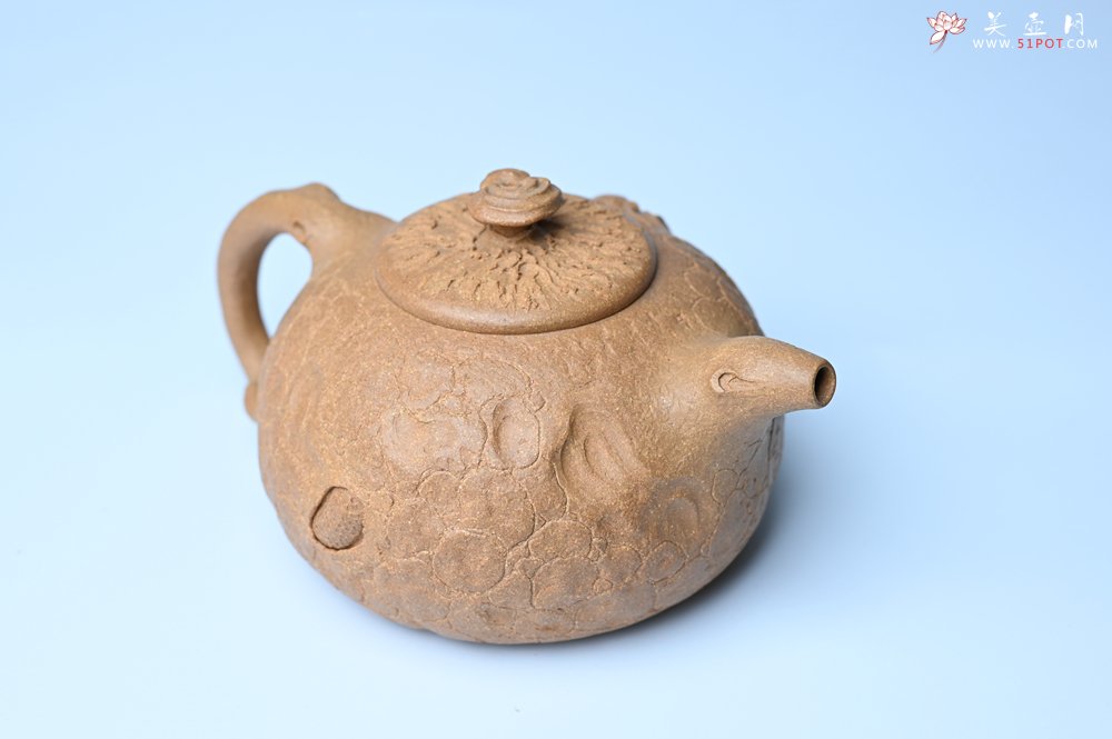 紫砂壶图片：潜力股赵老师实力演绎全手工老黄段泥灵芝游龙供春壶 游龙传福 不失为一把好壶 - 全手工紫砂壶网