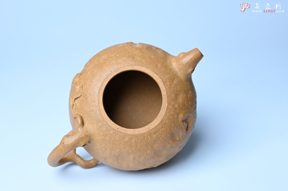 紫砂壶图片：潜力股赵老师实力演绎全手工老黄段泥金蟾供春壶 金蟾灵动 不失为一把好壶 - 全手工紫砂壶网