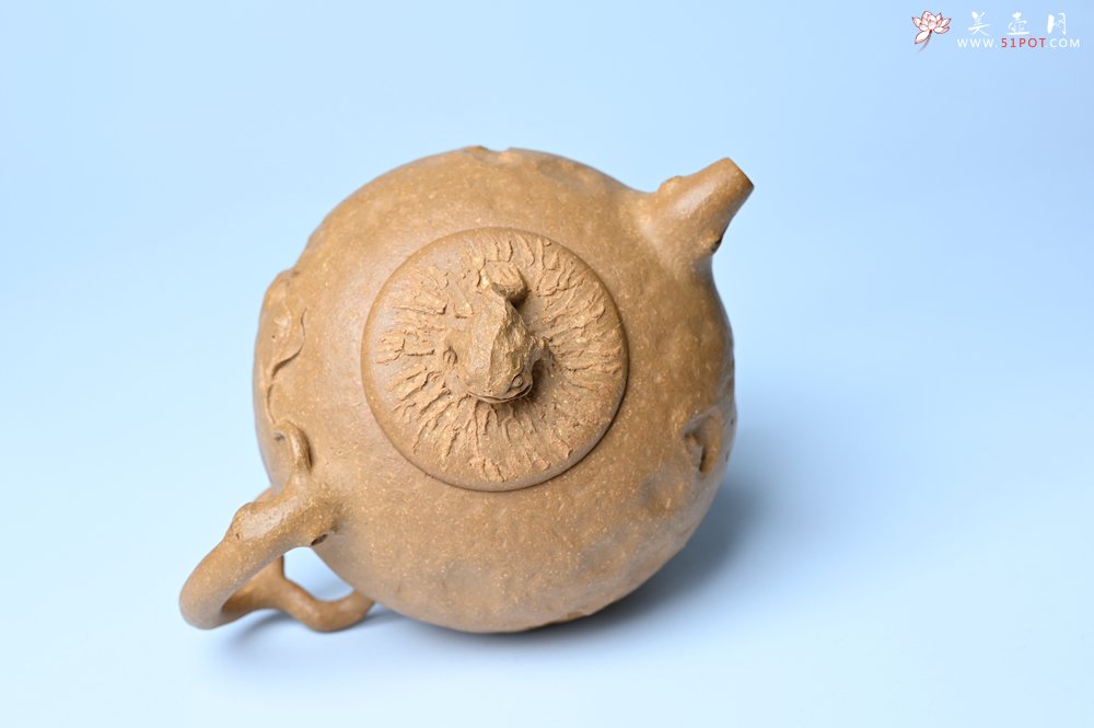 紫砂壶图片：潜力股赵老师实力演绎全手工老黄段泥金蟾供春壶 金蟾灵动 不失为一把好壶 - 全手工紫砂壶网