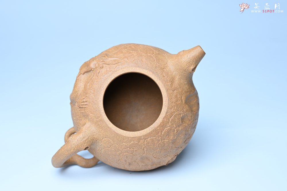 紫砂壶图片：潜力股赵老师实力演绎全手工老黄段泥灵芝游龙供春壶 游龙传福 不失为一把好壶 - 全手工紫砂壶网